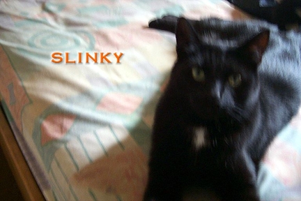 SLINKY